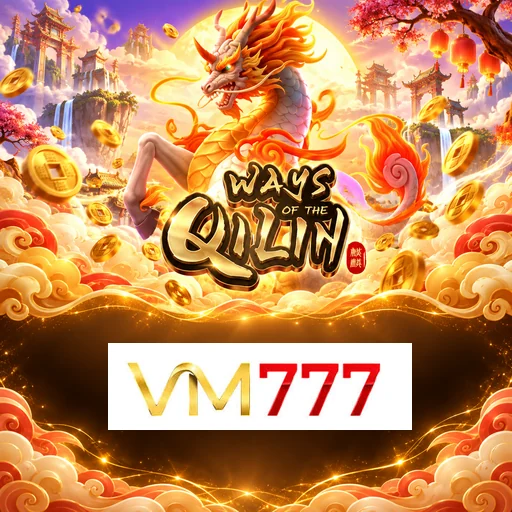 vm777 Security Analysis